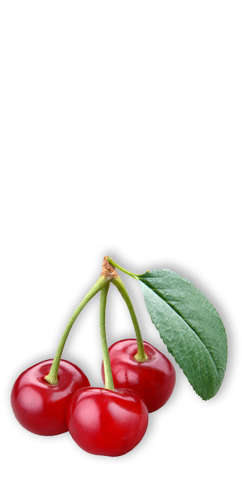 Cherry 1 Copia